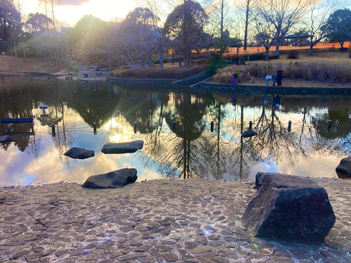 久しぶりに七井戸公園へ。
遊具が新しくなってて楽しかった☺️

…が、池で食パンを鯉や鴨にあげる家族が大勢いて、
池にはパン屑が大量。
水質汚染の原因にもなるし、生き物にも悪影響。

それを知ってる我が子たちは大激怒‼️

これって常識ですよね？
うちが頭固いかな？