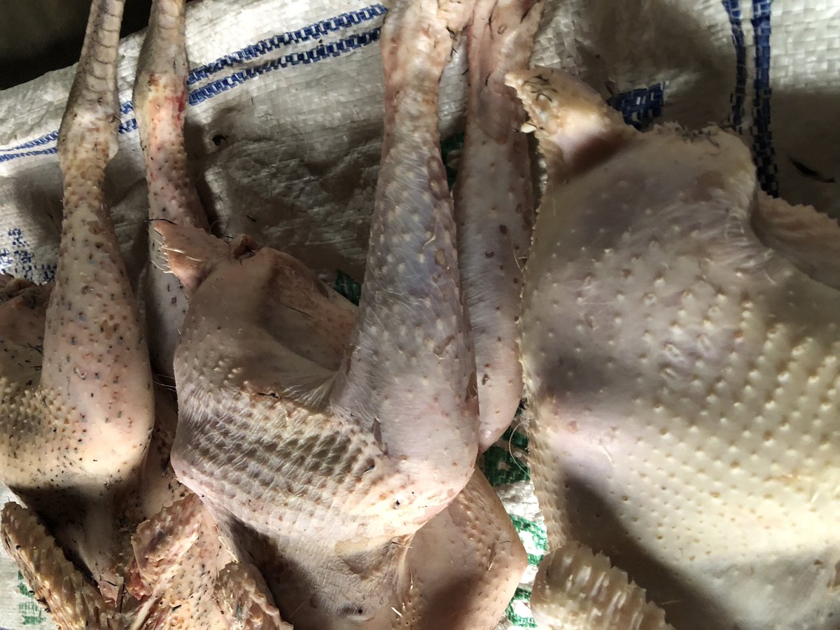 Empanga Local Chicken tweet media