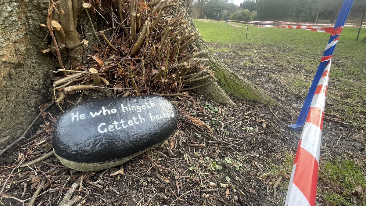 Bobby Gavin tweet media