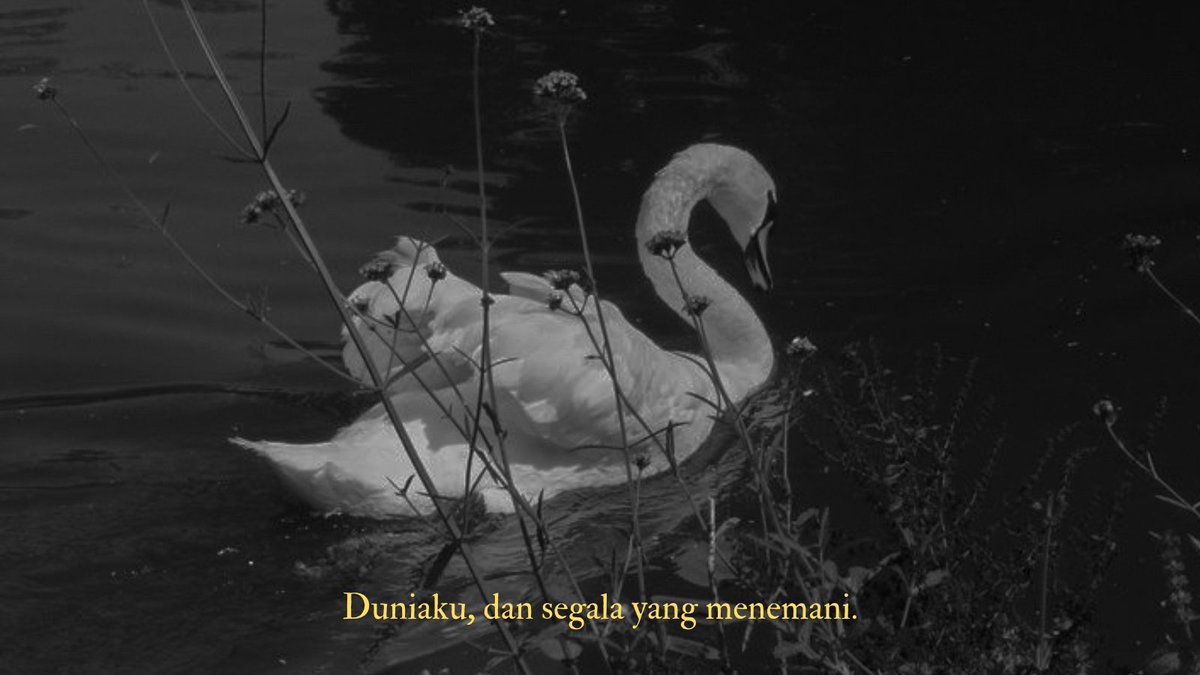 ADHINIA KESUMA. tweet media