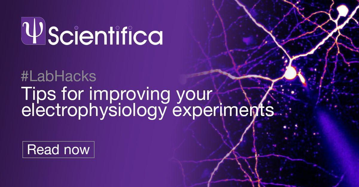 Scientifica tweet media