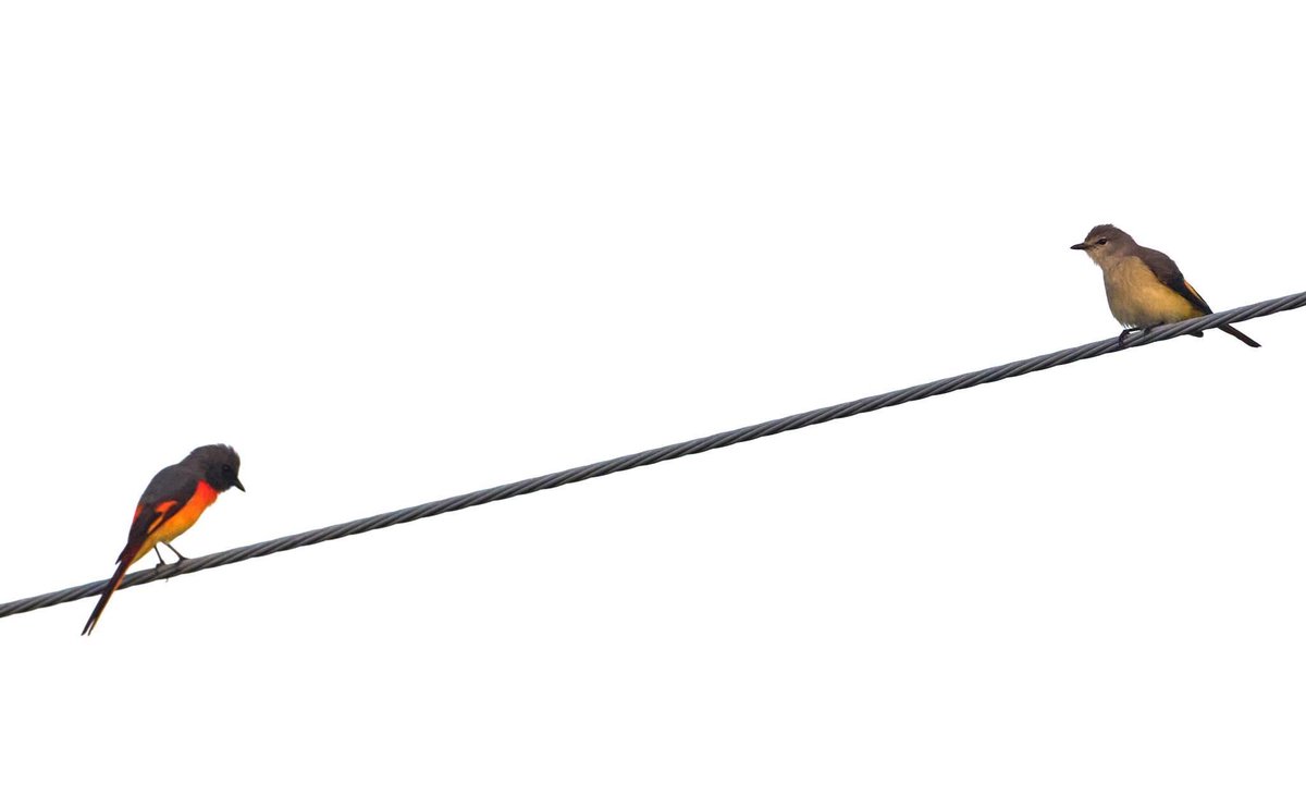 IntegralAnswers tweet media