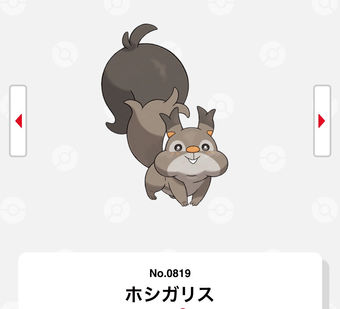 ホシガリス #自分の誕生日と同じ図鑑Noのポケモン