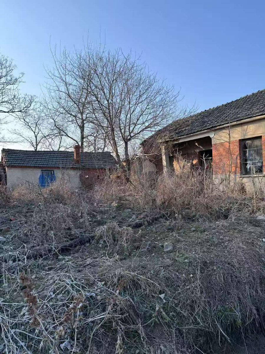 逍遥XTony tweet media