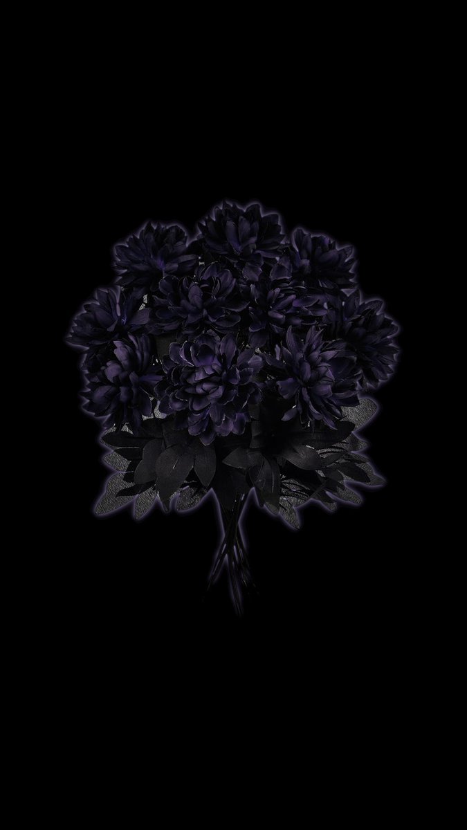 ‍‍ ‍‍‍‍ ᅠ✧.*𝑻𝑯𝑬 𝐃𝐀𝐇𝐋𝐈𝐀༊*·˚ tweet media