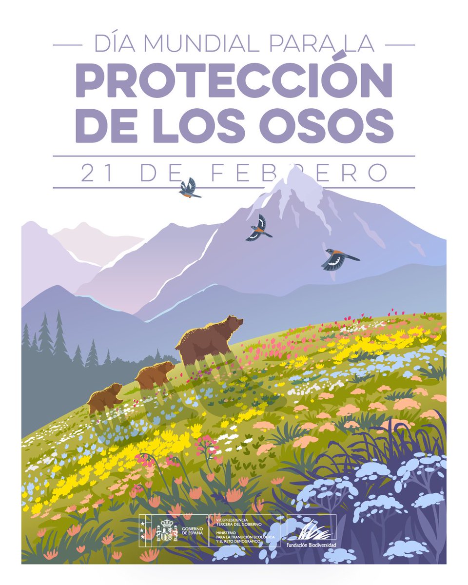 En el #DíaMundialDeLosOsos 🐻‍❄️🐼 recordamos que 6 de las 8 especies del mundo están amenazadas.

En España, el oso pardo 🐻 figura en peligro de extinción. 

Protegerlos es apostar por ecosistemas más fuertes y por un futuro con mayor riqueza natural 🌿