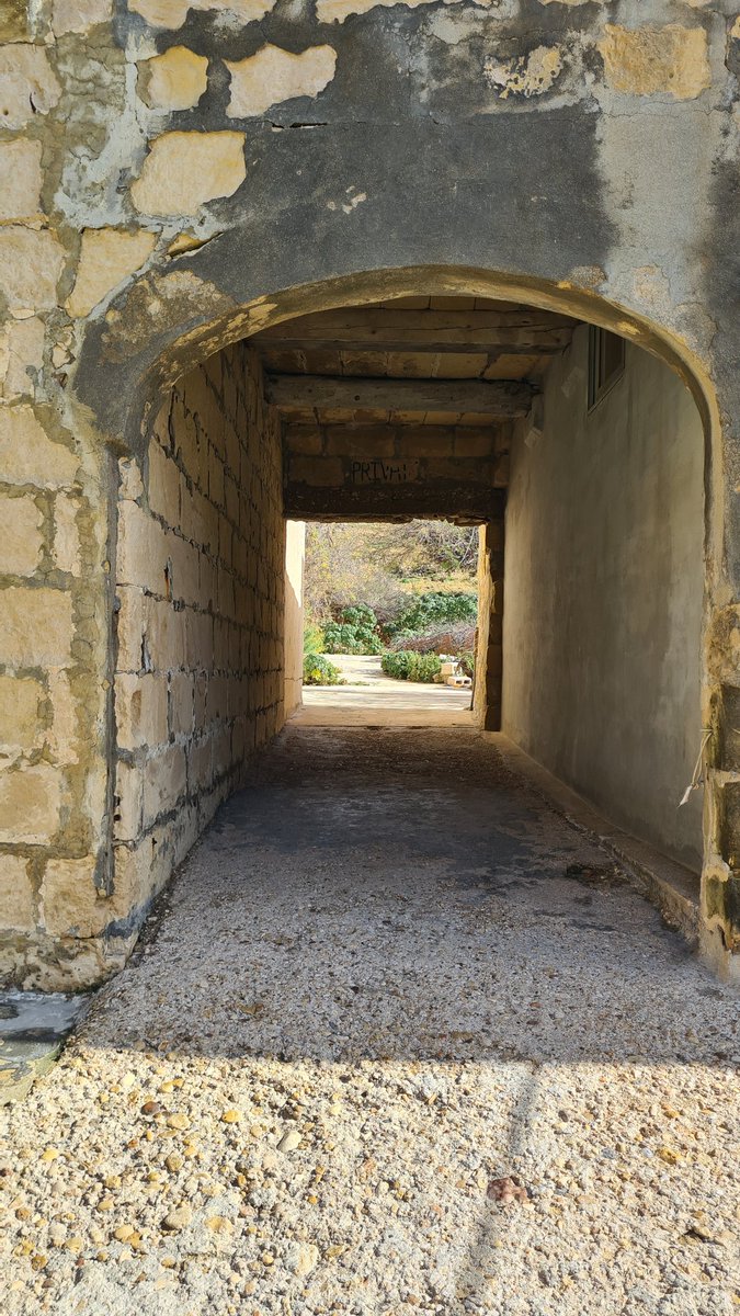 Dogknob1 tweet media