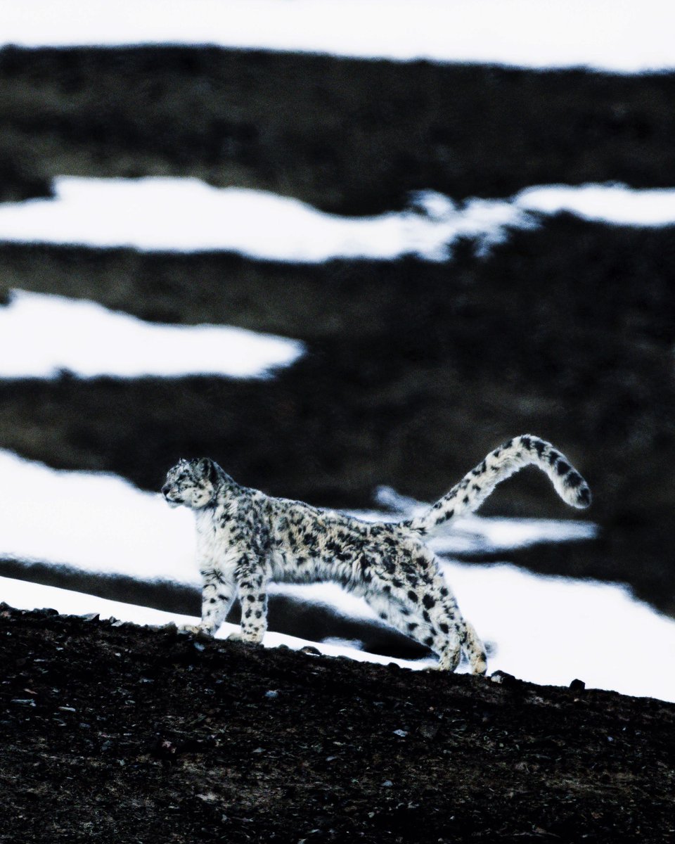 限定で作った写真集「LIFE」を300冊だけ追加販売してます！残りわずか