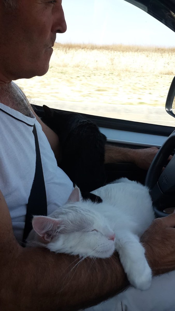 Hepsi tıpkısının aynısı 😊