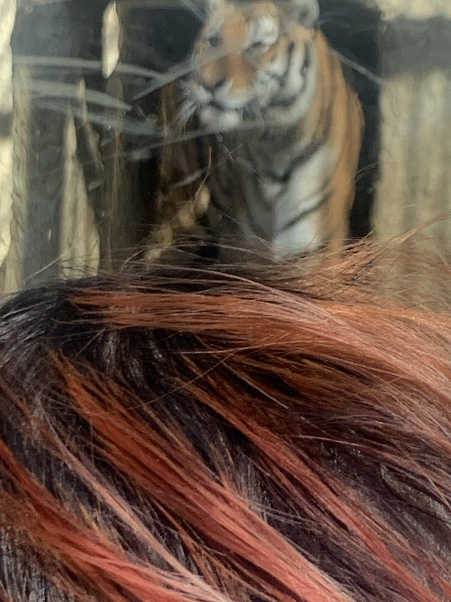 fu17mk's tweet photo. 3年8ヶ月！
動植物園！！ https://t.co/0RABApLisQ