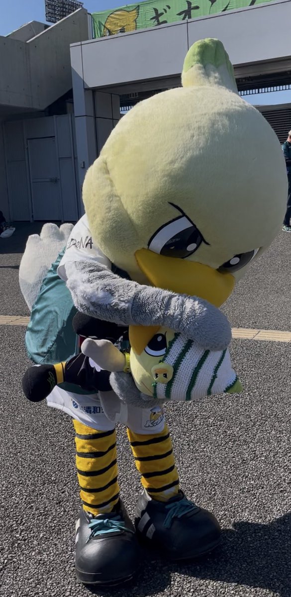 ガミティ🐤🐣🐥 今日も元気に大活躍！ 我が家のガミティも可愛がって