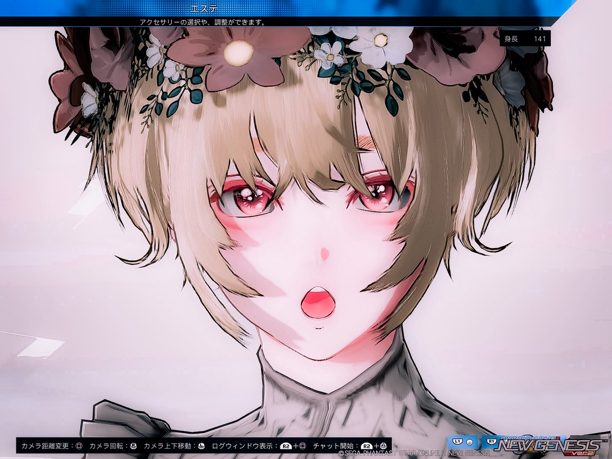 共通化してくださいという感じ #PSO2NGS_SS