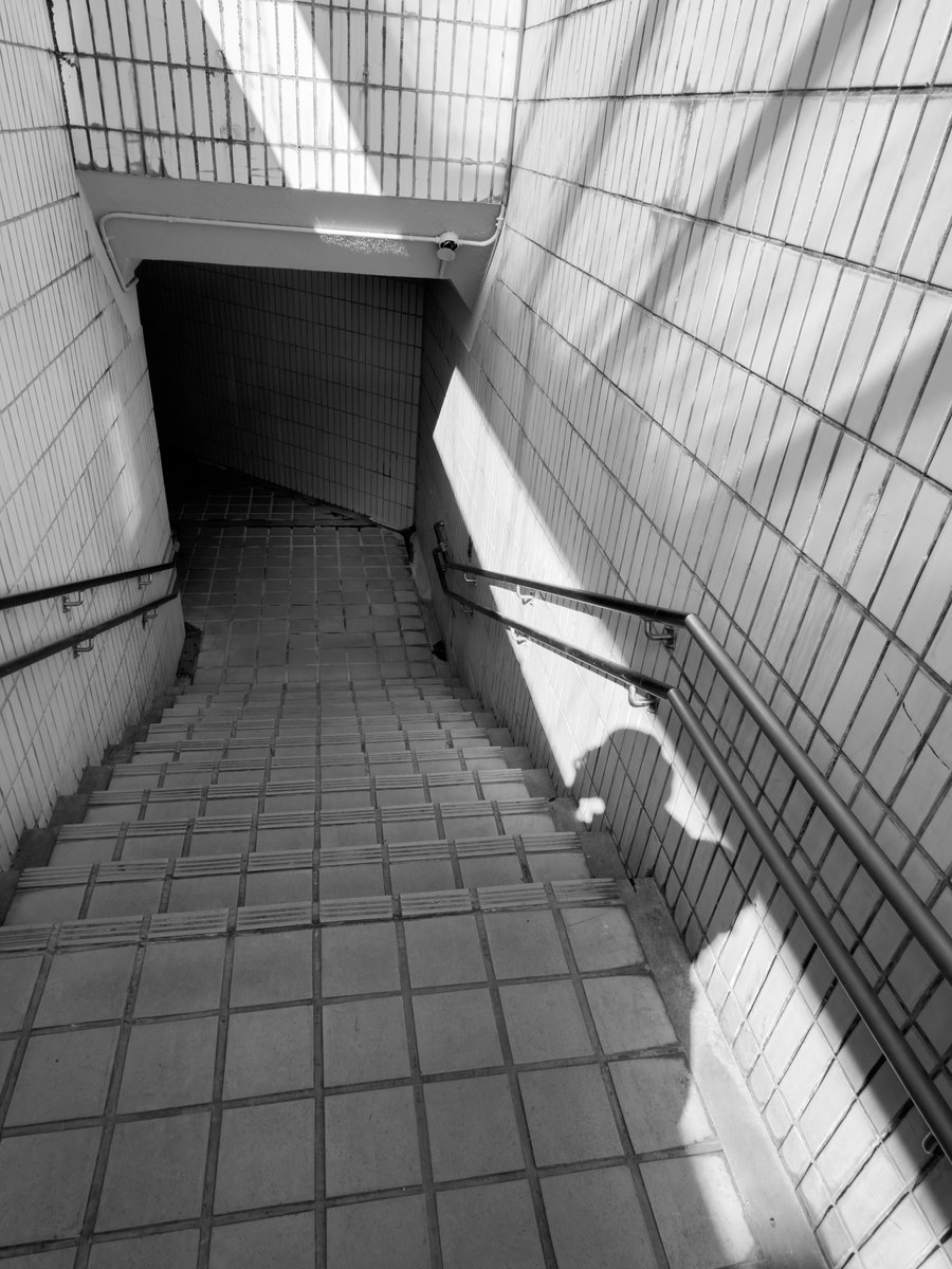 piyoh. (@chari_gogogo) on Twitter photo 