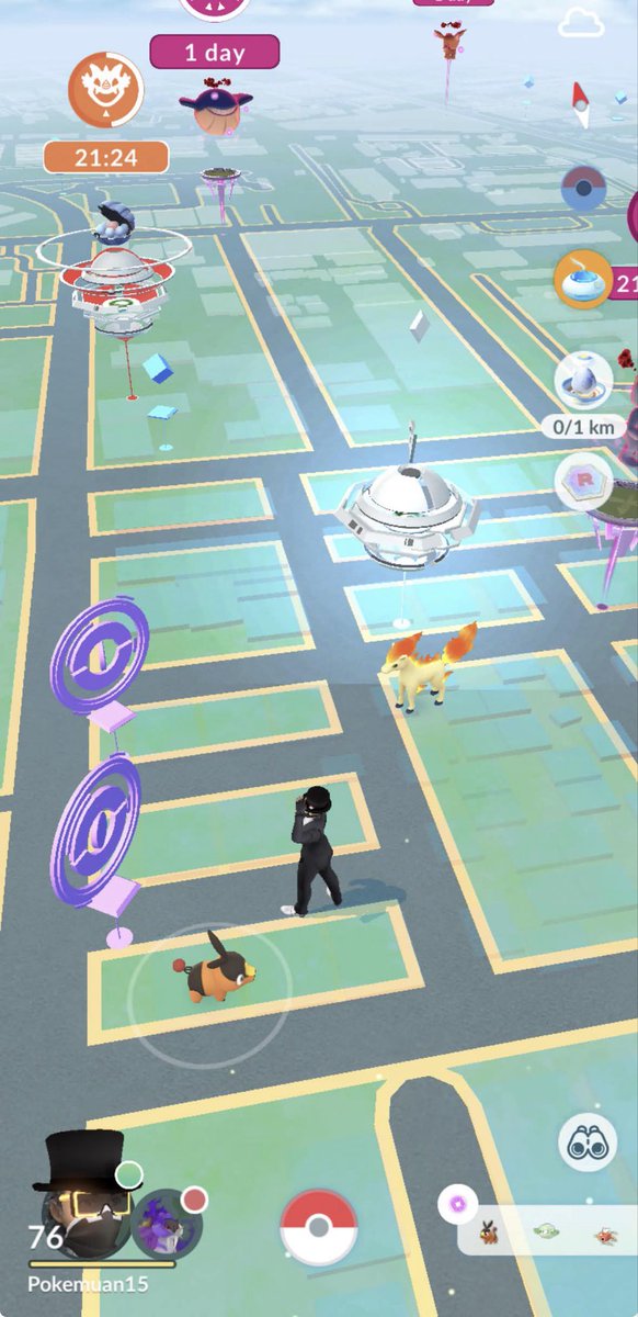 📷Pokemuan15 📸 tweet media