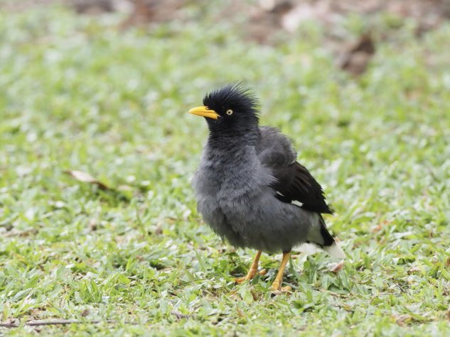 鈴木俊貴 Toshitaka Suzuki (@toshitaka_szk) / Posts / X