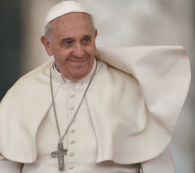 Diez meses desde que nos dejaste, Francisco. Como sabrás, en este último tiempo el mundo empezó a conocer todas las batallas que estabas dando y que no siempre se sabían. Te enfrentaste a los mayores enemigos de la humanidad y los derrotaste con toda la firmeza. Siempre estuviste