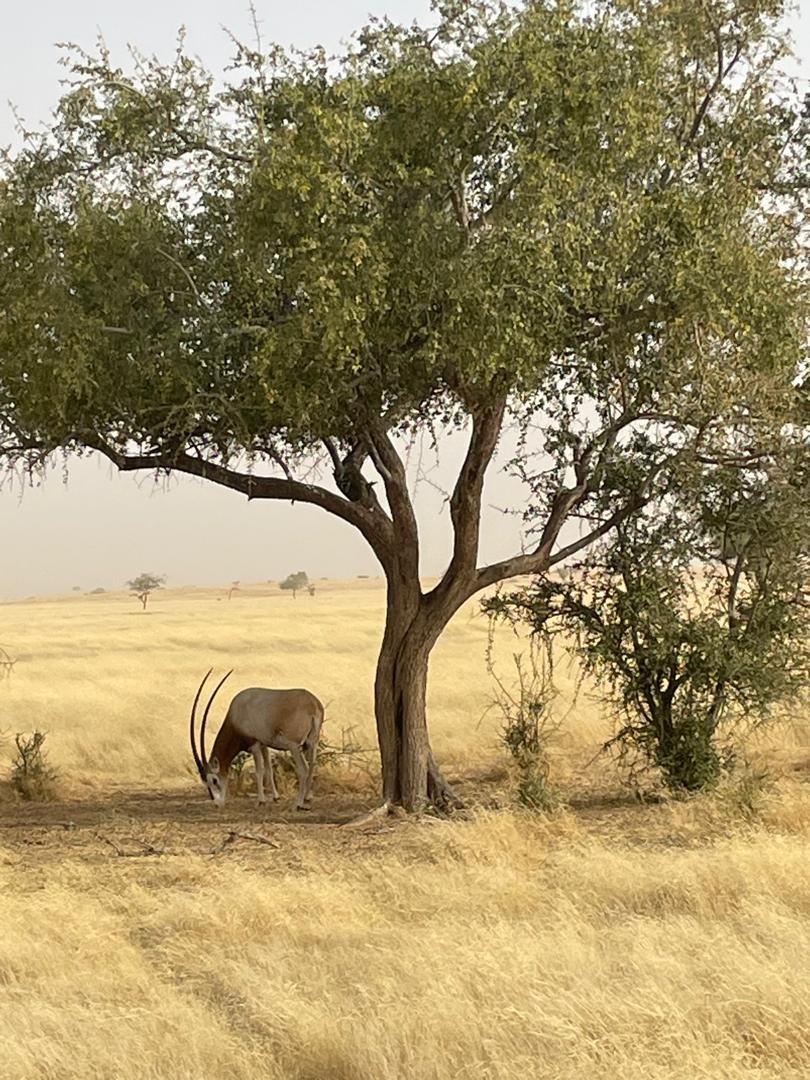 Helena Owen UK tweet media