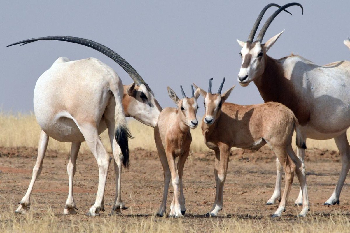 Helena Owen UK tweet media