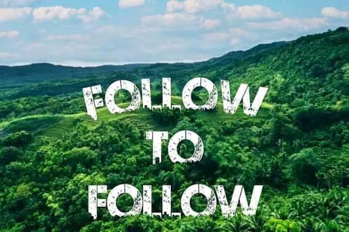 rishboyy's tweet image. Account under 2000 followers? 

Just say   "Hey" 👋

Everyone will follow you.