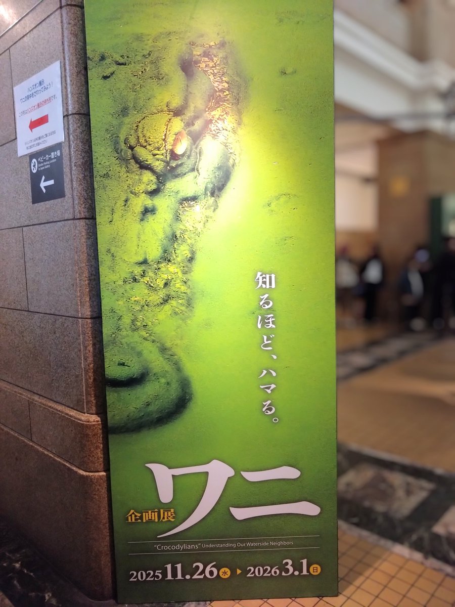 🈂️🐦 tweet media