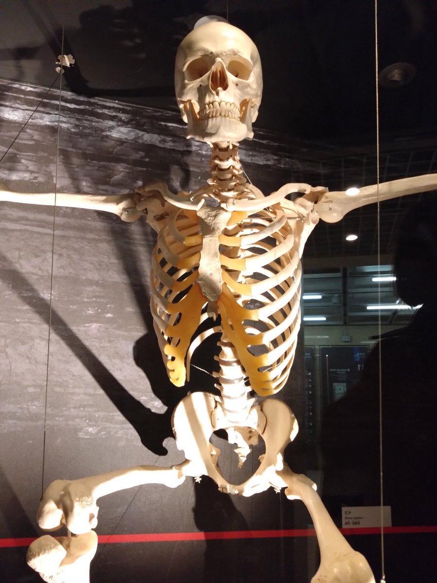 🈂️🐦 tweet media