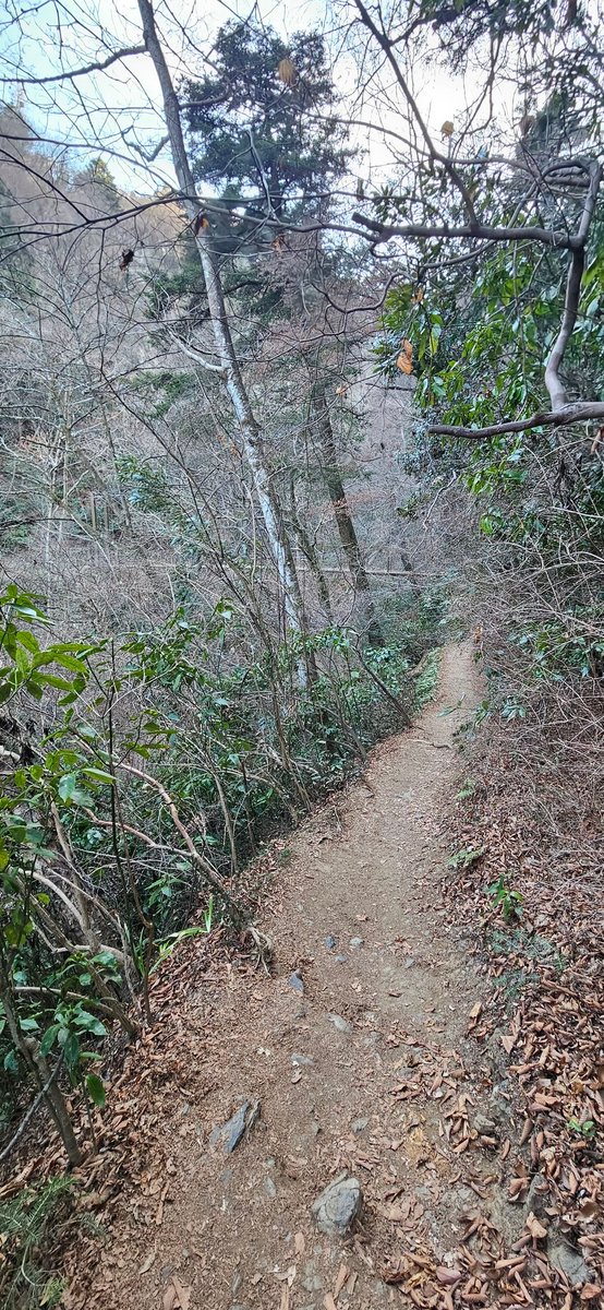 Onsen sidequest after climbing a mountain complete, body hort so much