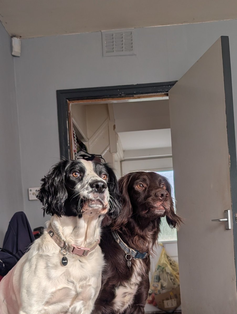 William John Amison tweet media