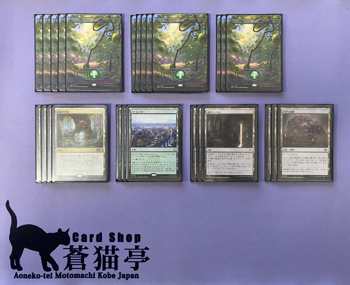 本日のストアチャンピオンシップスタンダードは21名で開催、優勝は緑単