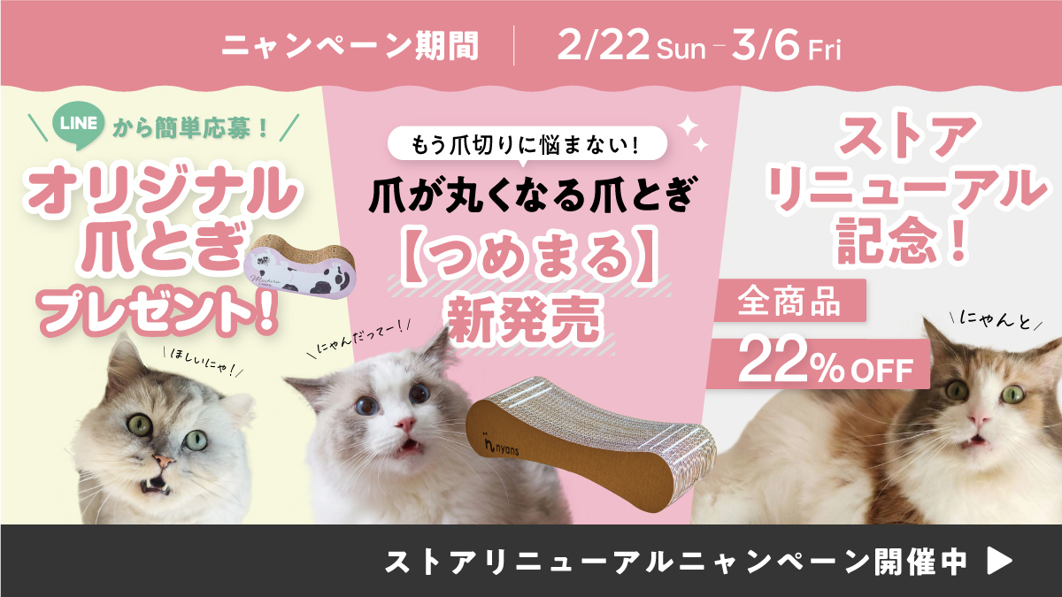 猫のためのnyans【公式】 tweet media