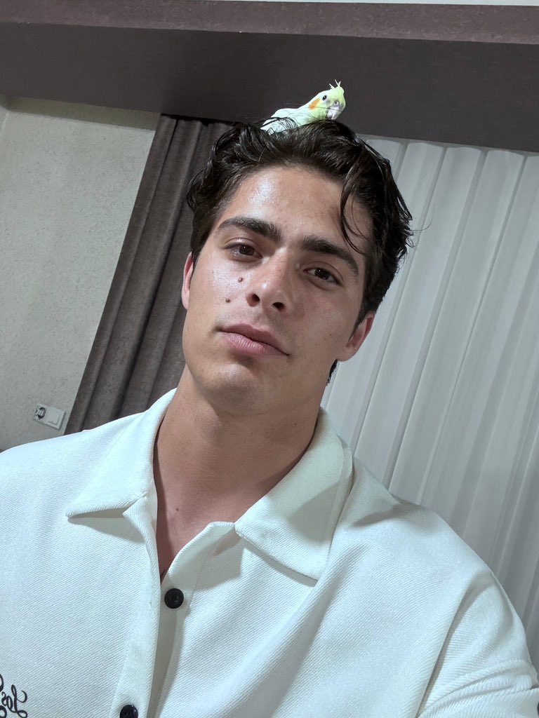 Katayoon tweet media