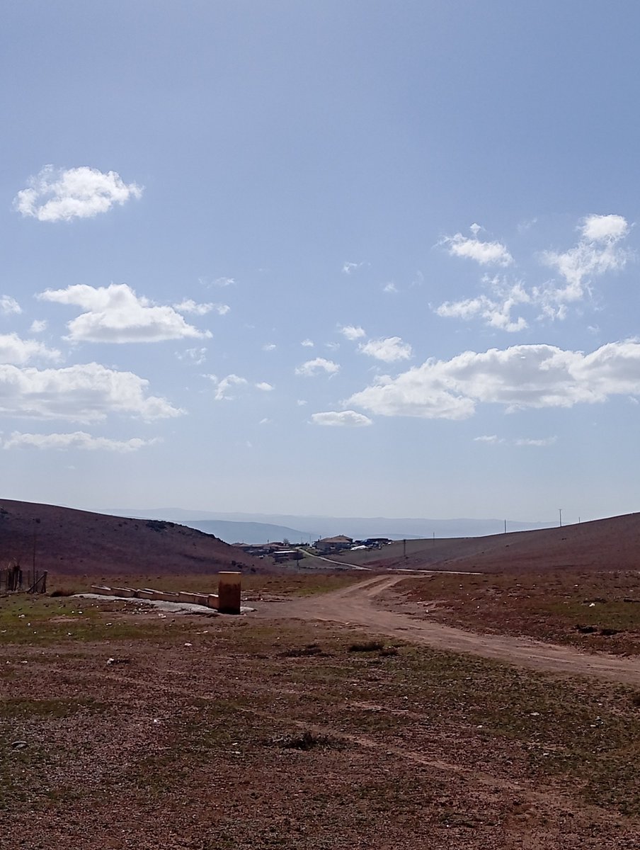 Gitmesek de gelmesek de...