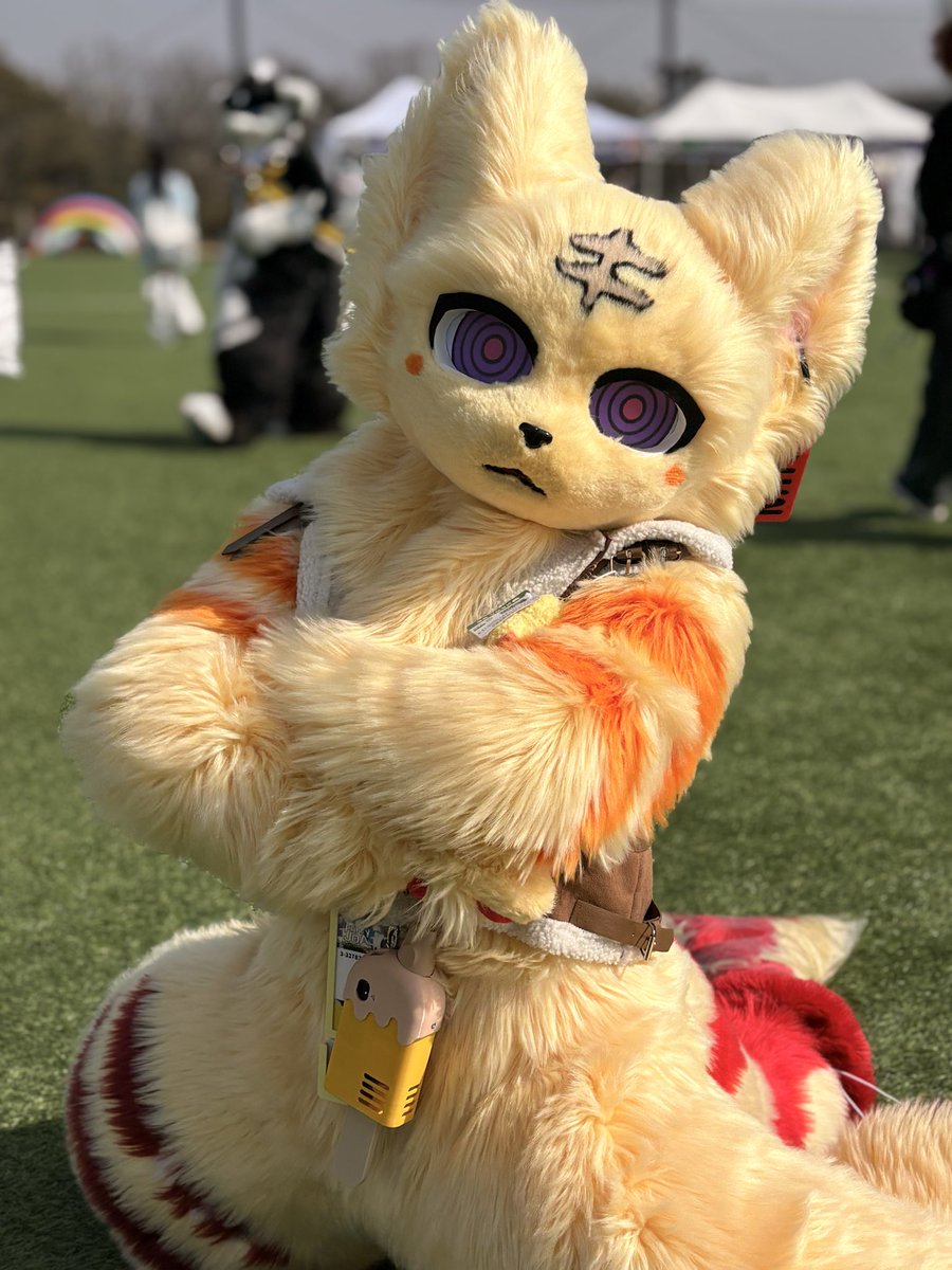 wzdkfu10's tweet photo. @Wolk_fur 포즈 진짜 신기해요! https://t.co/hy73iFF2Oh