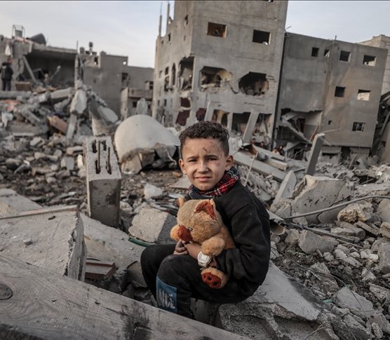 The fact that Punch’s plight is seen as more tragic than a child’s in Gaza shows how misplaced global priorities have become.