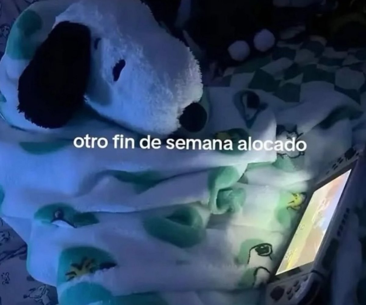 piña sin pizza tweet media