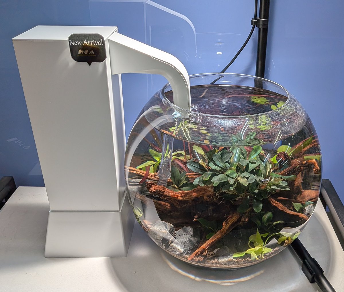 minatoyouhin's tweet image. 新商品グラスアクアビッグスフィア+SＴＯＮ展示致しました！
実際の動作感や質感を直接見ていただけたら幸いです😊ご来店お待ち致しております👌
#STON
#ストン
#ビッグスフィア
#ボトルアクア 
#GEX