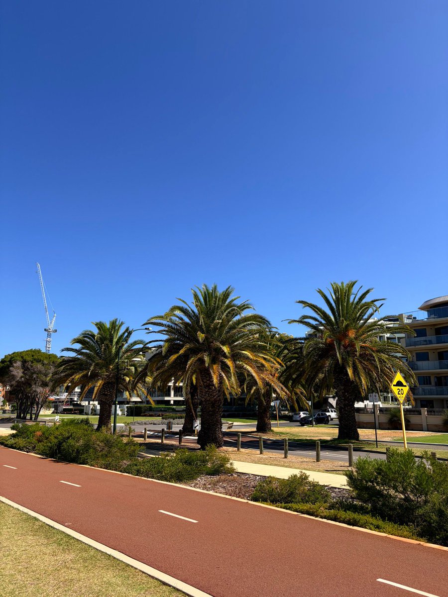 gundemio's tweet image. iPhone 7 ve iPhone 17 ile çekilen fotoğraflar karşılaştırıldı.