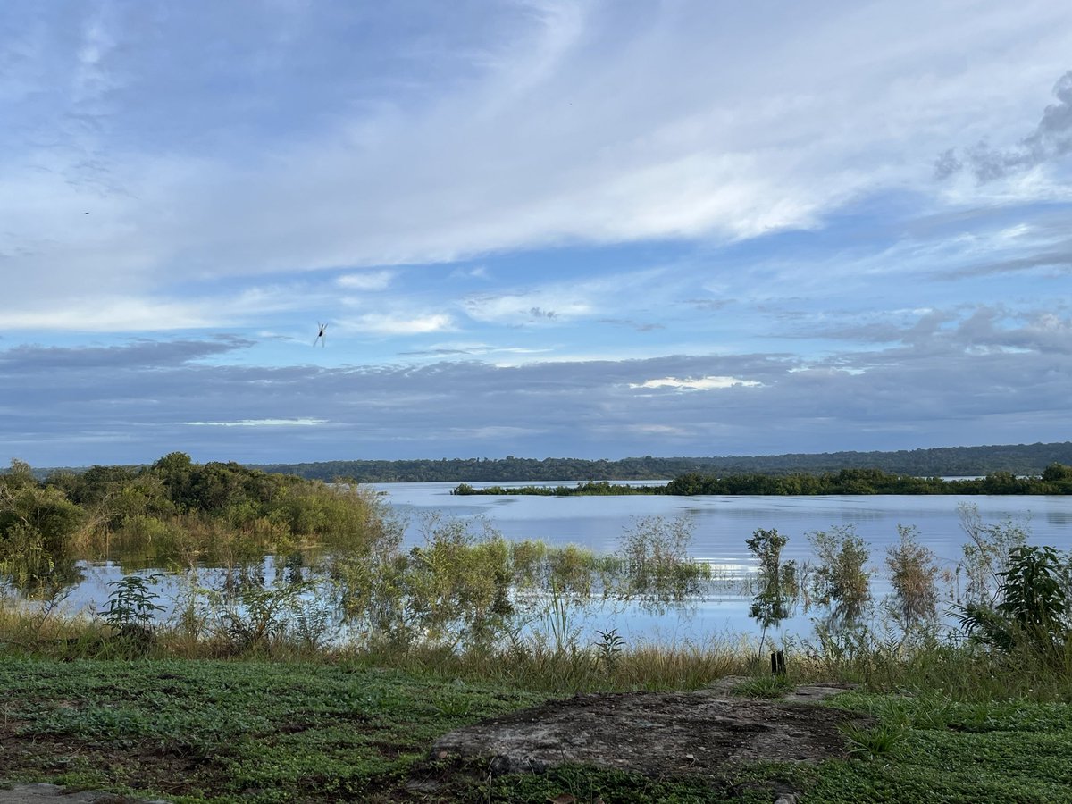 Yuta Hino tweet media