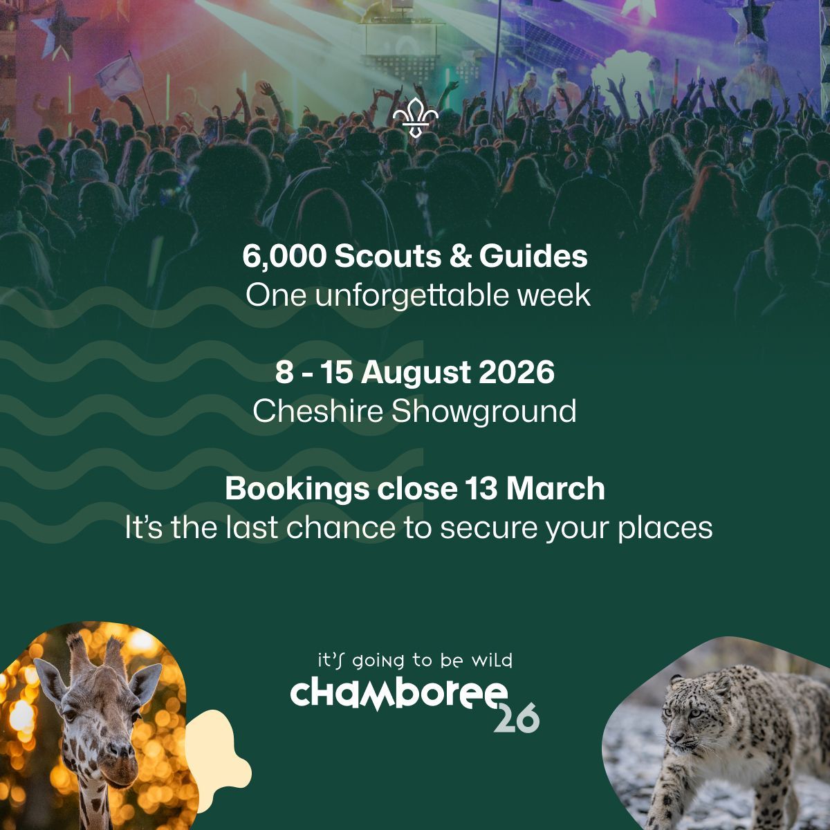 Chamboree tweet media