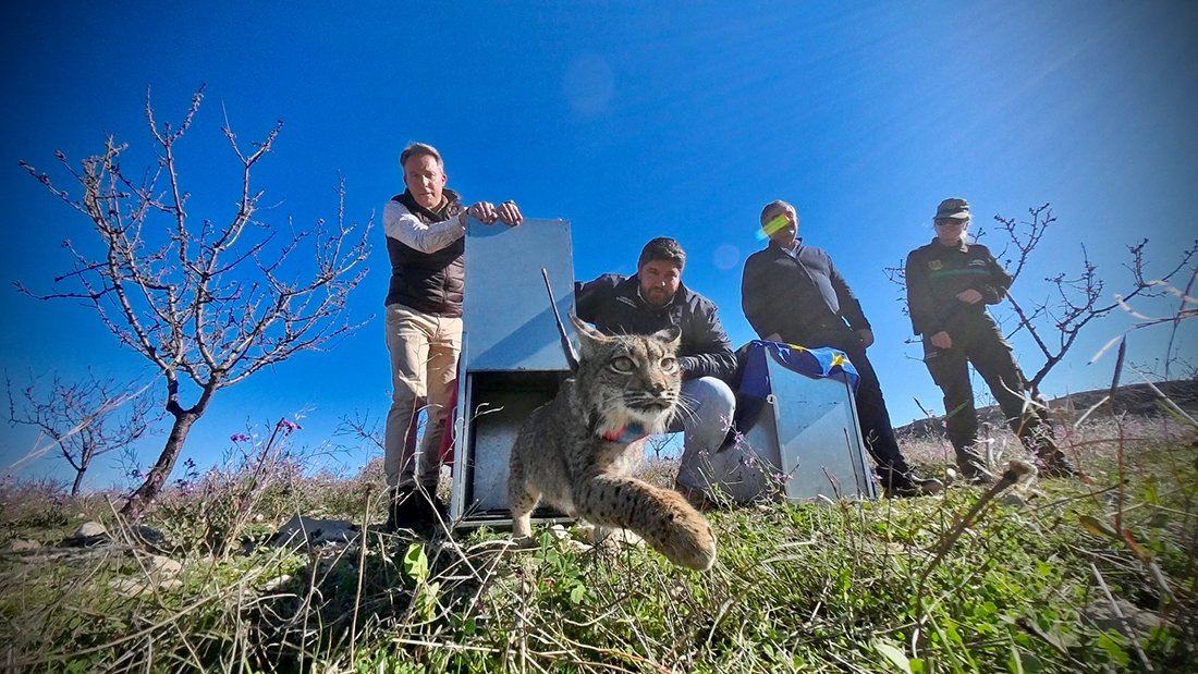 Ginés Mirón tweet media