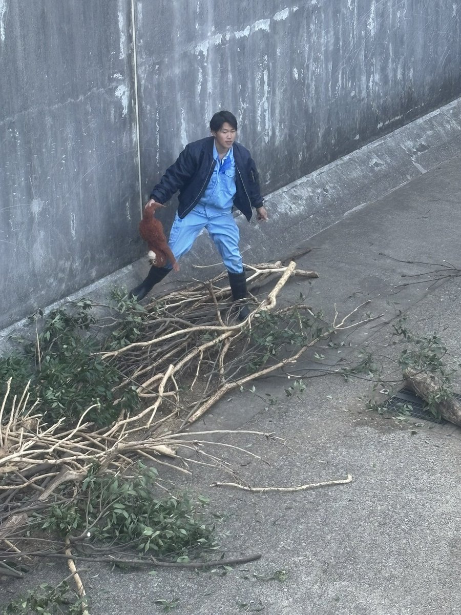 chinguetti1 tweet picture