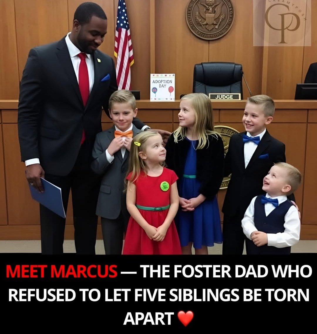 This is Amazing !🥹🥹💝💝