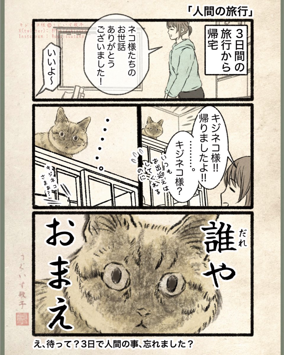 キジネコ様 (@Motidukineko) / Highlights / X