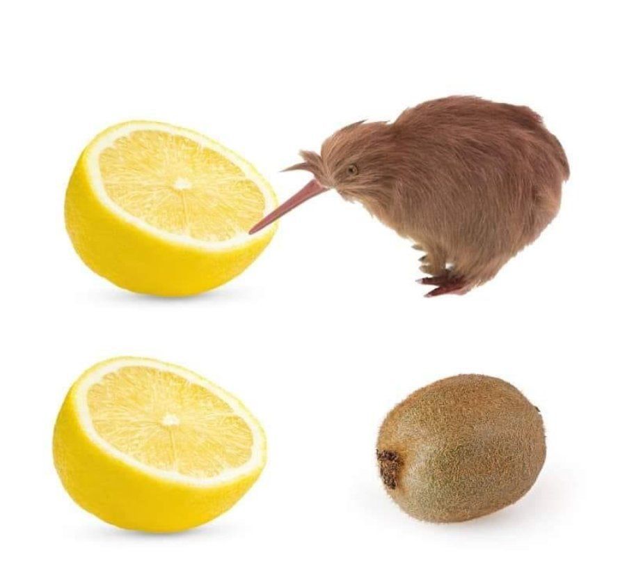 Insane Content (@onlineinsane) on Twitter photo 