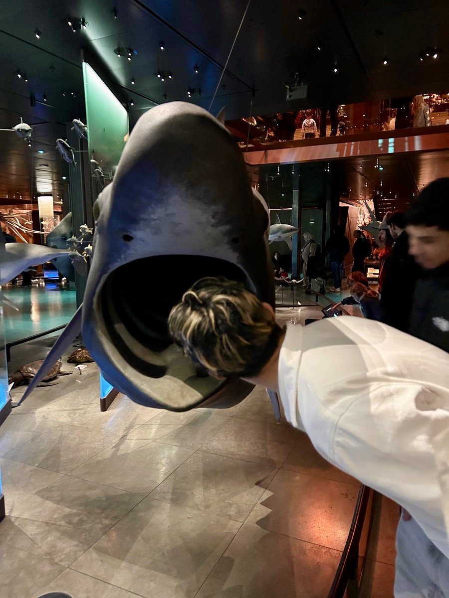 Collège Robert Doisneau (93) tweet media