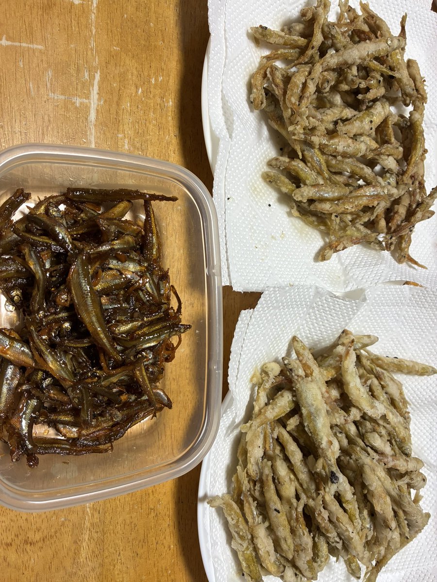 今年最後かもしれない、氷上ワカサギ釣り！

かなやま湖にて
釣果　251匹

朝5時に着いたら駐車場いっぱいでびっくり。
入れ食いではなかったけど、コンスタントとにずっと釣れる感じでだいぶ釣果伸ばすことができて満足！
