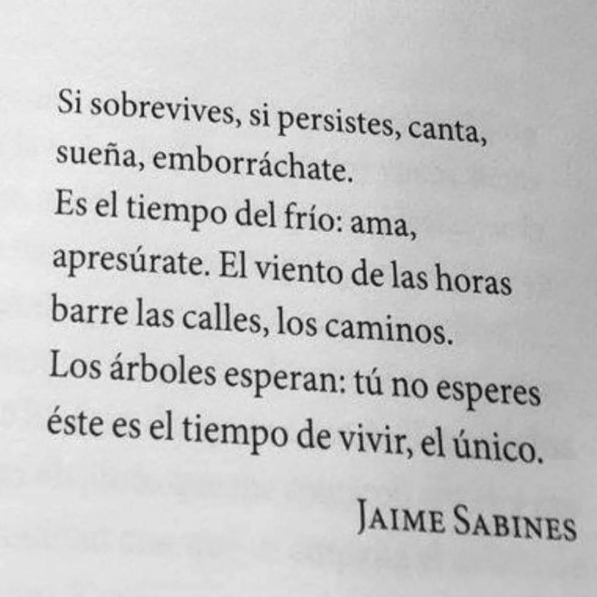 literland (@literlandweb1) on Twitter photo 