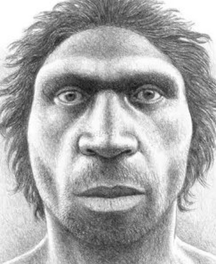 when someone says something so heidelbergaphobic that you have to hit them with that archaic Pleistocene stare and then commit history’s first knife crime