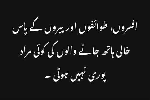 Soulat Pasha tweet media