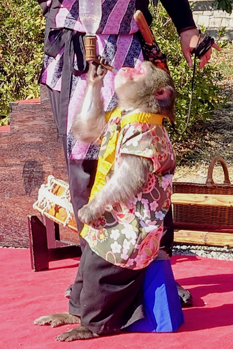 すみたん (@sumitan0625) / Posts and Replies / X