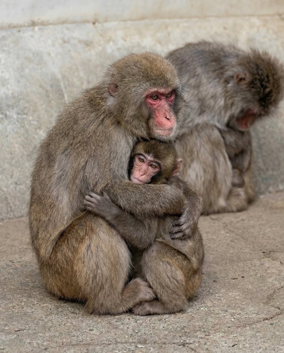 1 more Slap please 😭